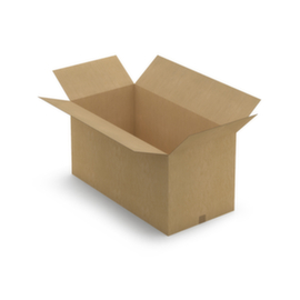 1-Wellige Karton RAJA 1000 x 500 x 500 mm