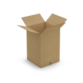 Braune Wellpapp-Faltkartons RAJA
