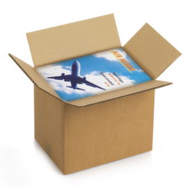 Braune Wellpapp-Faltkartons RAJA