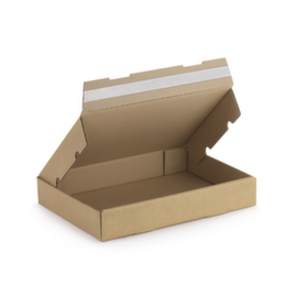 Flach-Pack mit Haftklebeverschluss 310 x 220 x 50 mm