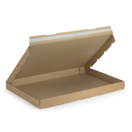 Flach-Pack mit Haftklebeverschluss 650 x 450 x 50 mm