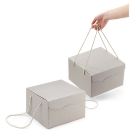 Flaschenverpackung Horizon grau-gestreift