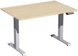 Gera Elektrisch höhenverstellbarer Schreibtisch Elevate Plus