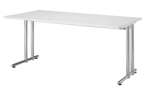 Schreibtisch Terra Nova mit C-Fußgestell, Breite x Tiefe 1600 x 800 mm, Platte lichtgrau