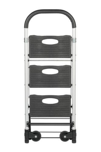 BS-ROLLEN Klappbare Transportkarre/Allzweckleiter, Traglast 90 kg