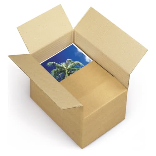 Blitzboden-Aufrichtekarton Varia Standard für leichte Produkte