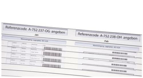 EICHNER Klarsichtleiste für Planungstafeln