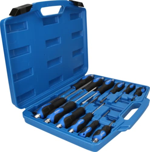 Brilliant Tools Schraubendreher-Satz mit Schlagkappe