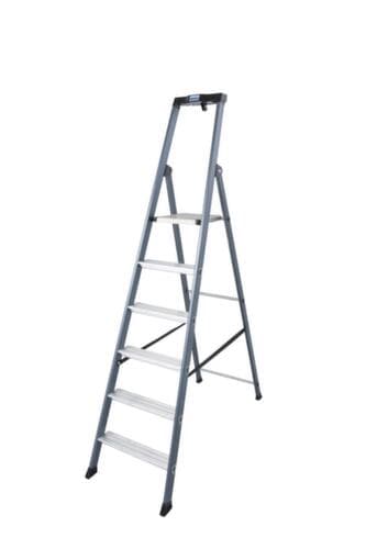Krause Eloxierte Stufenstehleiter MONTO® SePro S®, 6 rutschhemmend profilierte Stufen