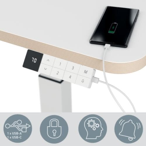 Leitz Elektrisch höhenverstellbarer Steh-Sitz-Schreibtisch Ergo