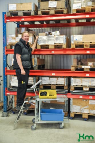 Kongamek Plattformwagen, Traglast 300 kg