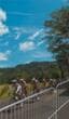 milieu_04 S
