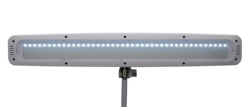 MAUL Dimmbare LED-Tischleuchte MAULwork, Licht kaltweiß (tageslichtweiß), weiß
